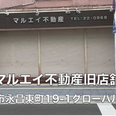 【九州男めだか】背鰭ナシ サファイア 極上親使用 めだか 卵50個の画像