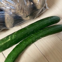 野菜、じゃがいも、トマト、きゅうりの画像