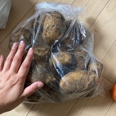 野菜、じゃがいも、トマト、きゅうりの画像