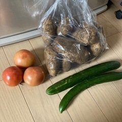 野菜、じゃがいも、トマト、きゅうりの画像