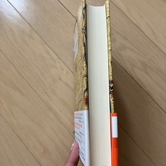 家康、江戸を建てるの画像