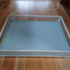 パンテオン白　6045の画像