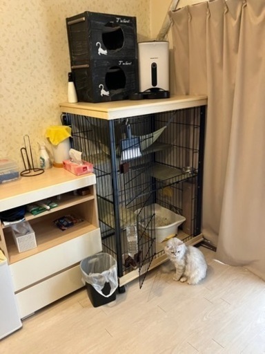 猫の必需品？？（ケージ、ゲート、カリカリマシーン）