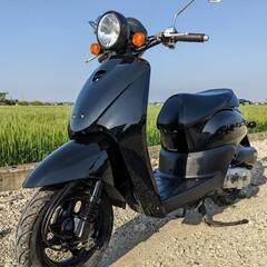 値下げ中 ホンダ トゥデイ AF67 50cc 外装新品 シート...