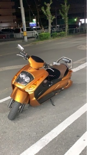 jemma(マジェスティックゴールド) 希少極上(価格相談)