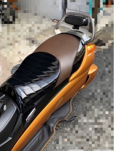 jemma(マジェスティックゴールド) 希少極上(価格相談)