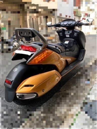 jemma(マジェスティックゴールド) 希少極上(価格相談)