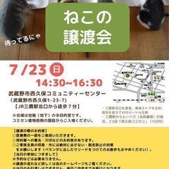 むさしの地域猫の会猫ちゃんの譲渡会