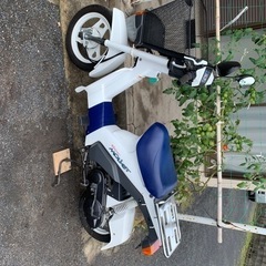 スズキ モレ(MOLLET) 50ccの画像