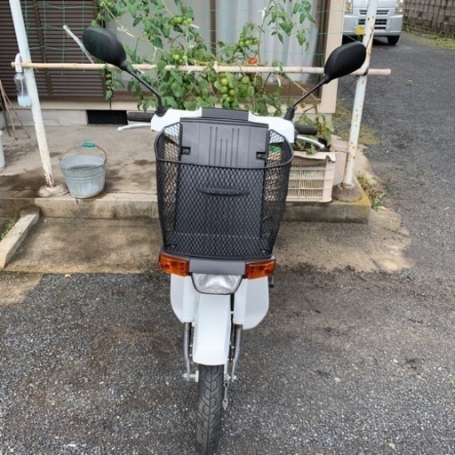 スズキ モレ(MOLLET) 50cc