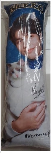 NEKKO×Brightキャンペーン非売品クッション&抱き枕3種セット