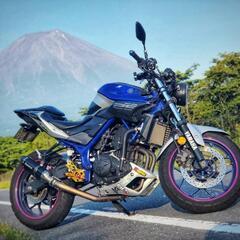 MT25