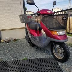 ライブディオチェスタAF34