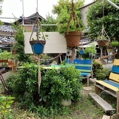 コミュニティ農園 - その他