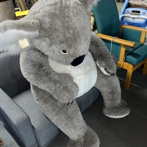 大きなぬいぐるみ　コアラ