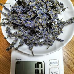 ラベンダー10g（ドライ）