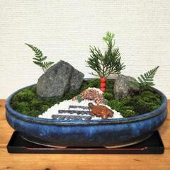 ■苔 盆栽鉢 癒やしの和庭園の画像