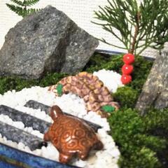 ■苔 盆栽鉢 癒やしの和庭園の画像