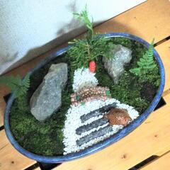 ■苔 盆栽鉢 癒やしの和庭園の画像