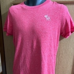 ★激安★Abercrombie★アバクロ★ロゴ　Tシャツ　メンズ...