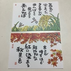 アサヒ緑健　絵はがき　11枚　四季　絵てがみの画像