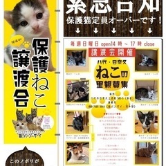 毎週日曜日に譲渡会開催します！！