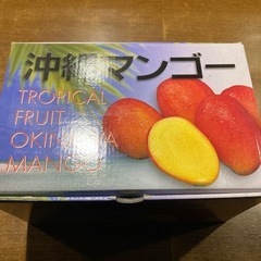 マンゴー2個セット