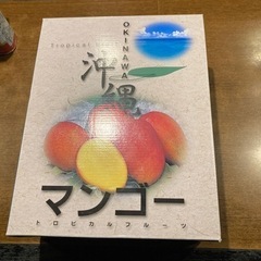 マンゴー4個セット