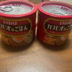 ガパオライス　缶詰