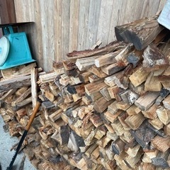 中割り　乾燥薪10キロ800円　カシ　クヌギ　ナラ  キャンプ薪　焚火　　京都府綴喜郡から　の画像