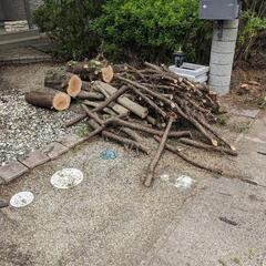 薪　　キャンプや薪ストーブにどうぞ！の画像