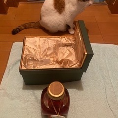 （ヤ）軽井沢貯蔵15年 未開栓古酒 100%モルトウイスキー720ml箱、替え栓 付き43%埼玉県