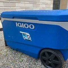 大型クーラーボックス　イグルー　IGLOOの画像