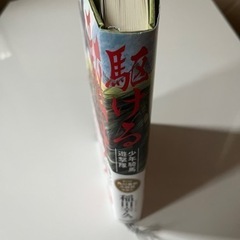 駆ける　少年騎馬遊撃隊 稲田幸久／〔著〕の画像
