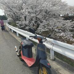 最後の値下げ　の画像