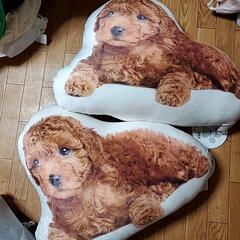 プードル　クッション