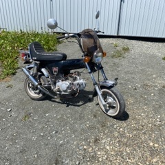 ホンダアメリカンダックスＳＴー50ですの画像