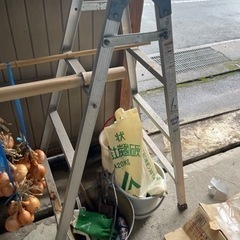 脚立