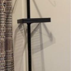 ドッペルギャンガー　ポール　スタンド