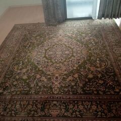 ホカホカカーペット