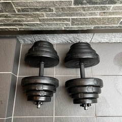 ダンベル25キロくらい✖️2