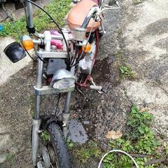 ホンダJAZZ50ccのバイクですの画像
