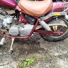 ホンダJAZZ50ccのバイクですの画像