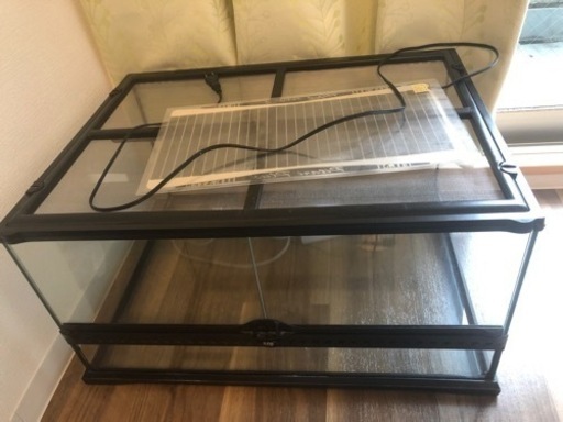 GEXエキゾテラ　6030爬虫類飼育ケージ　ラスト値下げ！