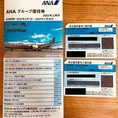 ANA 株主優待　2枚セット　2024年5月まで有効