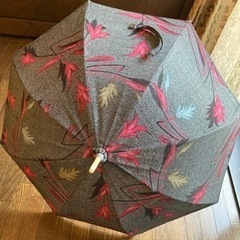 着てない着物👘ありませんか❓の画像