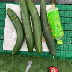 野菜