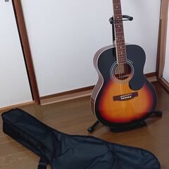 カバーとフロアスタンド付きギター