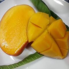 ７/３(月)限定🎯目玉商品🎯訳あり宮古島産有機栽培アーウィン🤤お早めに‼️の画像