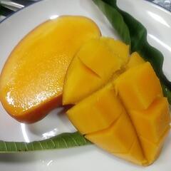 ７/３(月)限定🎯目玉商品🎯訳あり宮古島産有機栽培アーウィン🤤お早めに‼️の画像